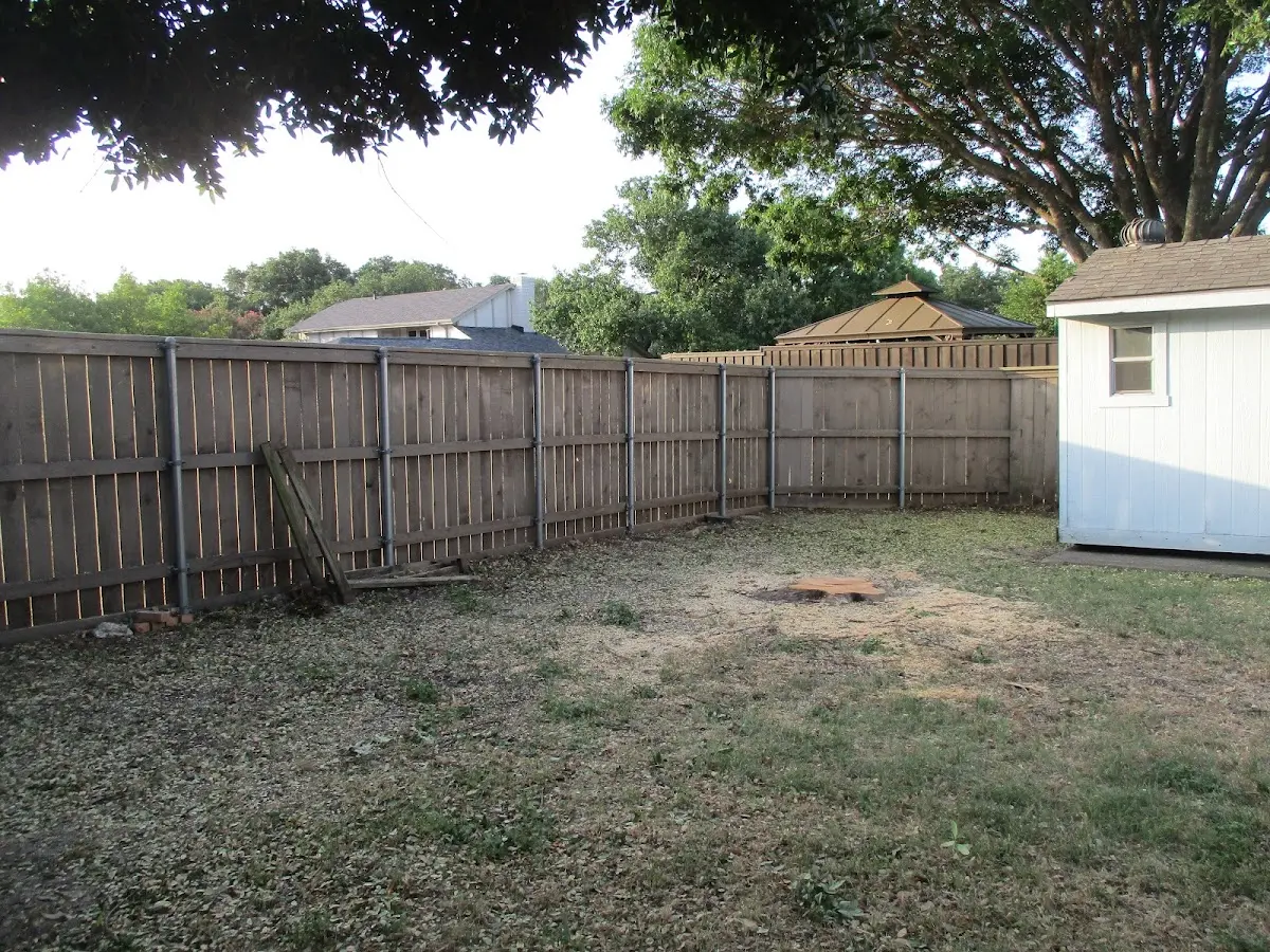Cleared yard after professional tree removal in Jenners